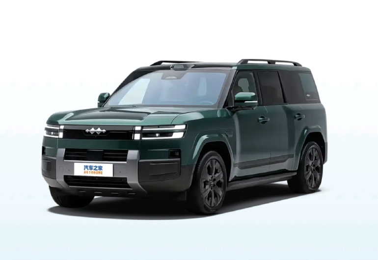 方程豹 Formula Leopard 车型